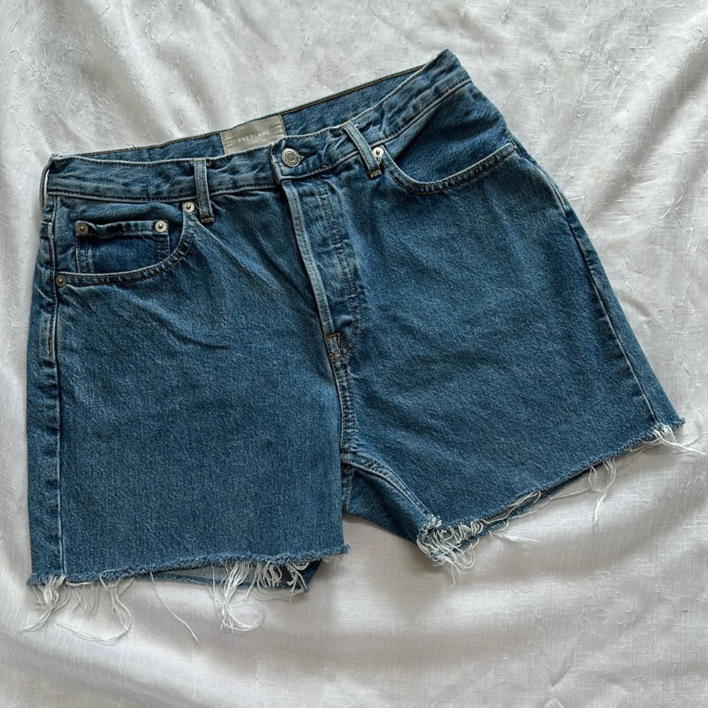 Everlane The Cheeky Shorts